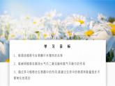 北師大版生物（2024）七年級上冊 3.4.6 植物在生物圈中的作用 課件