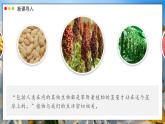 北師大版生物（2024）七年級上冊 3.4.6 植物在生物圈中的作用 課件