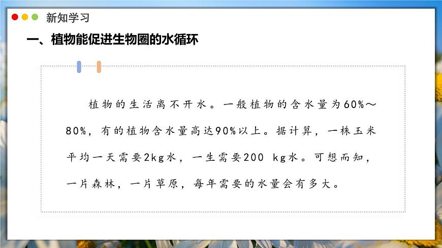 北师大版生物（2024）七年级上册 3.4.6 植物在生物圈中的作用 课件第4页