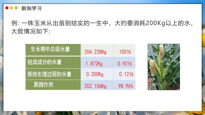 北师大版生物（2024）七年级上册 3.4.6 植物在生物圈中的作用 课件第5页