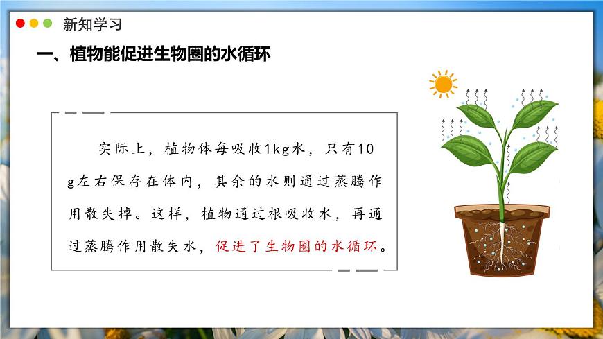 北师大版生物（2024）七年级上册 3.4.6 植物在生物圈中的作用 课件第6页