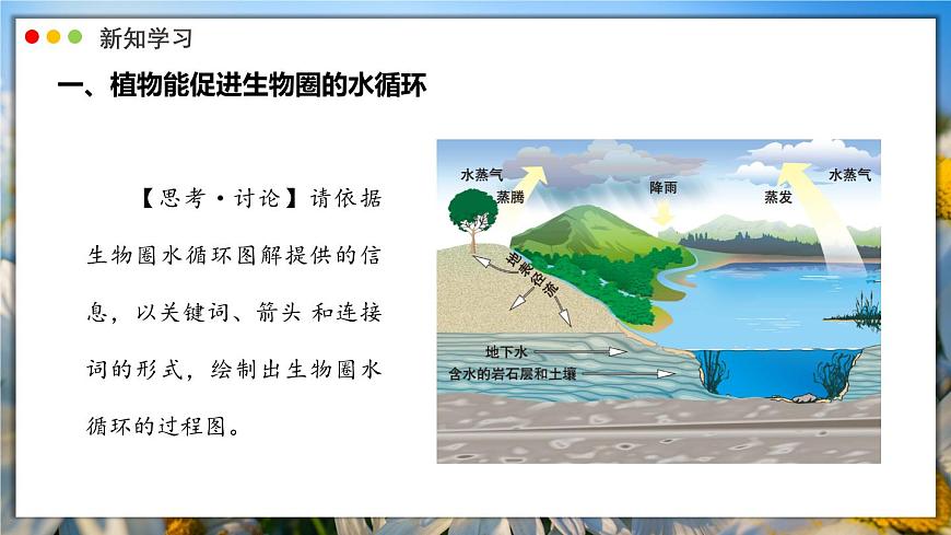 北师大版生物（2024）七年级上册 3.4.6 植物在生物圈中的作用 课件第7页