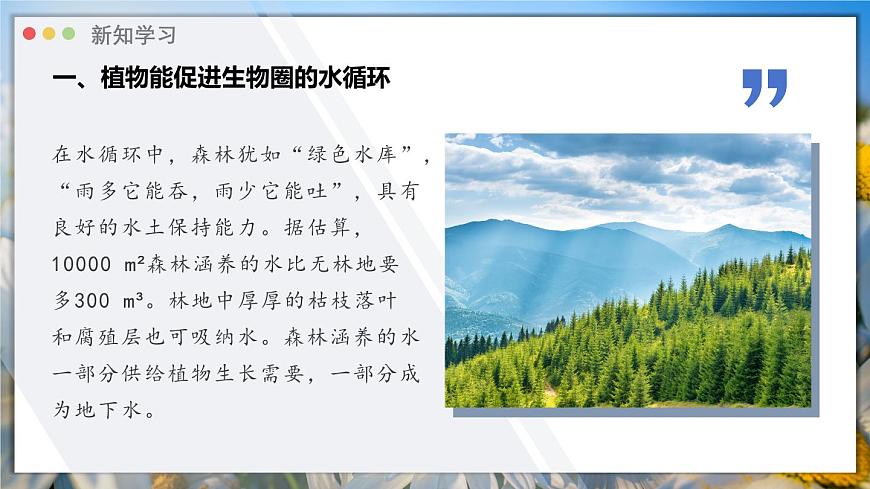 北师大版生物（2024）七年级上册 3.4.6 植物在生物圈中的作用 课件第8页