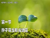 北師大版生物（2024）七年級上冊 3.5.1 種子萌發(fā)形成幼苗 課件