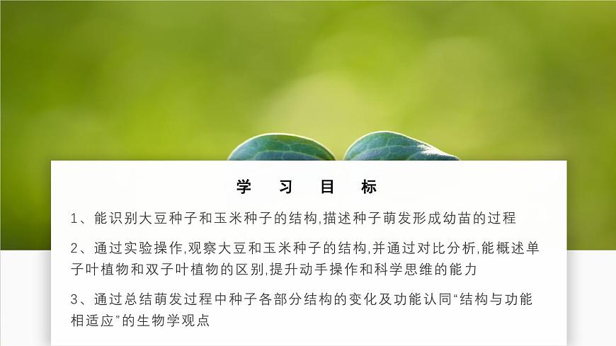 北师大版生物（2024）七年级上册 3.5.1 种子萌发形成幼苗 课件第2页