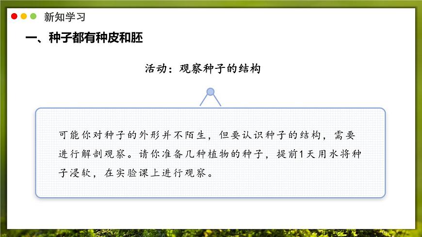 北师大版生物（2024）七年级上册 3.5.1 种子萌发形成幼苗 课件第5页