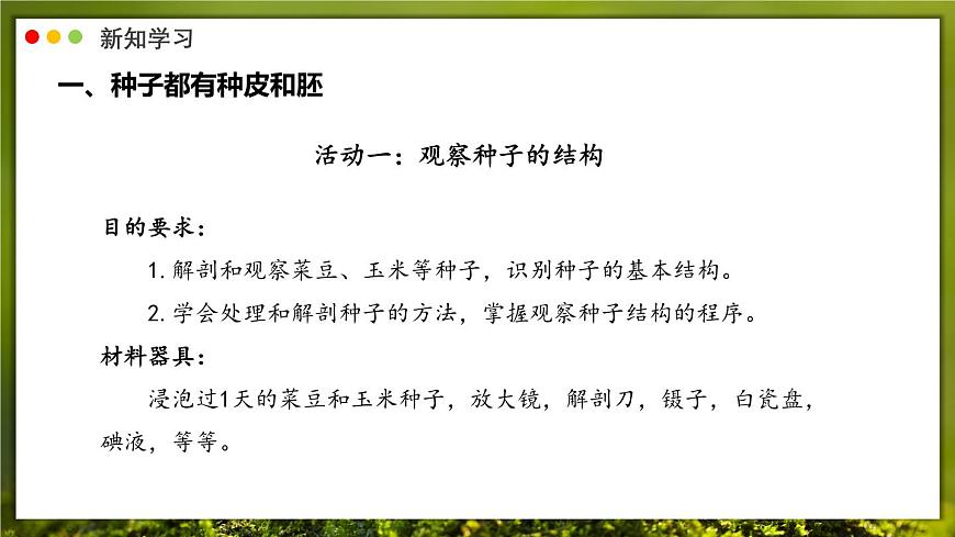 北师大版生物（2024）七年级上册 3.5.1 种子萌发形成幼苗 课件第6页