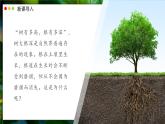 北師大版生物（2024）七年級上冊 3.5.2 營養(yǎng)器官的生長 課件