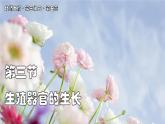 北師大版生物（2024）七年級(jí)上冊(cè) 3.5.3 生殖器官的生長(zhǎng) 課件