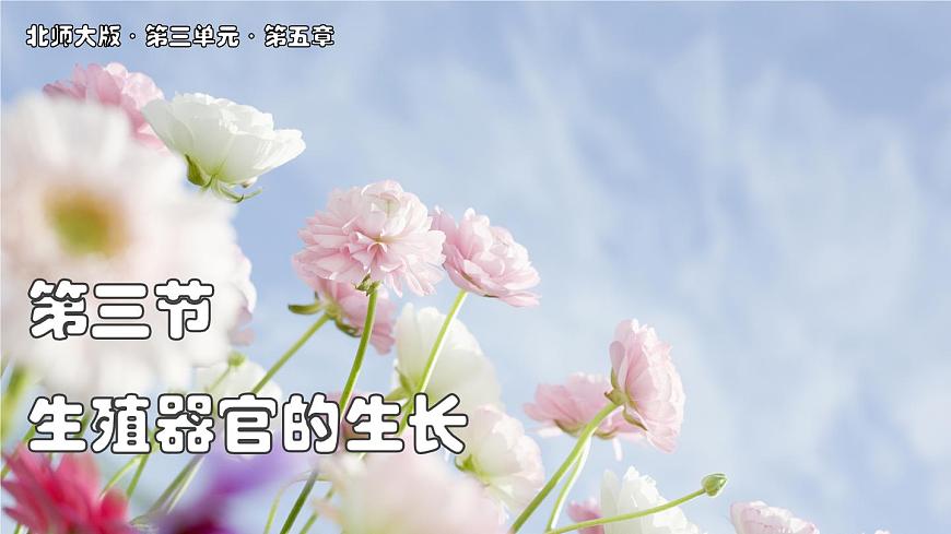 北师大版生物（2024）七年级上册 3.5.3 生殖器官的生长 课件第1页