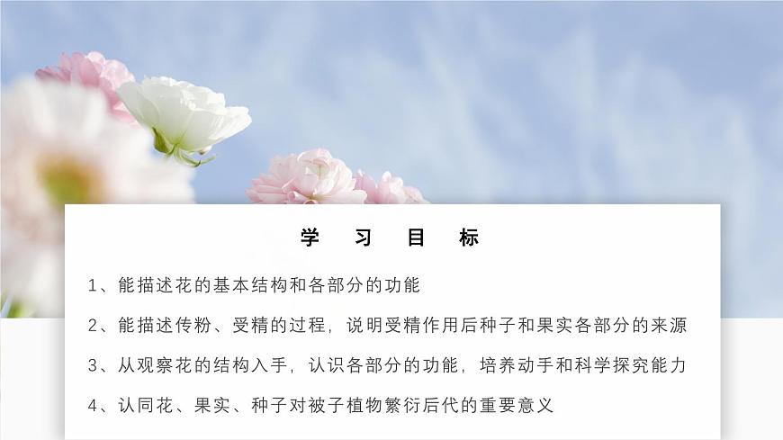 北师大版生物（2024）七年级上册 3.5.3 生殖器官的生长 课件第2页