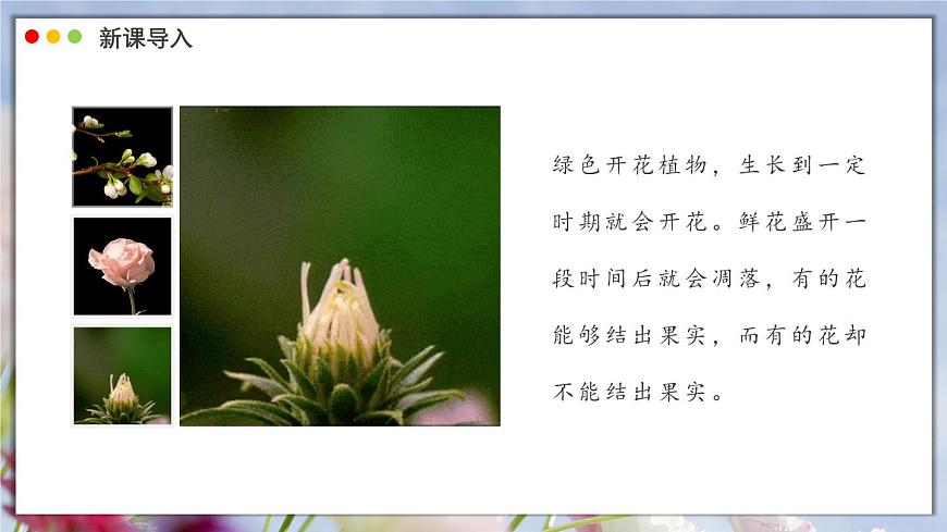 北师大版生物（2024）七年级上册 3.5.3 生殖器官的生长 课件第3页