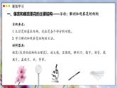 北師大版生物（2024）七年級(jí)上冊(cè) 3.5.3 生殖器官的生長(zhǎng) 課件