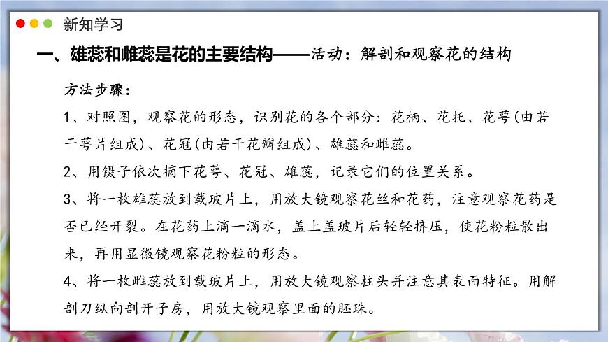 北师大版生物（2024）七年级上册 3.5.3 生殖器官的生长 课件第6页