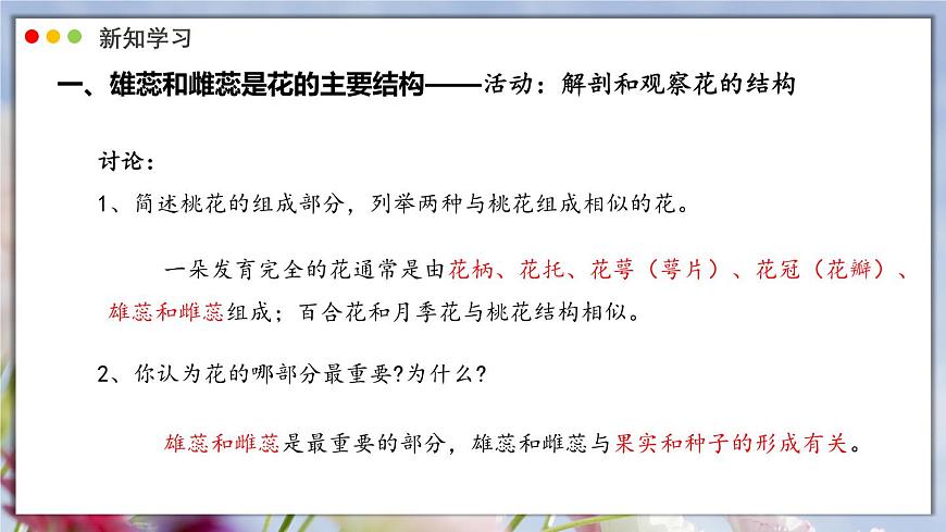 北师大版生物（2024）七年级上册 3.5.3 生殖器官的生长 课件第8页