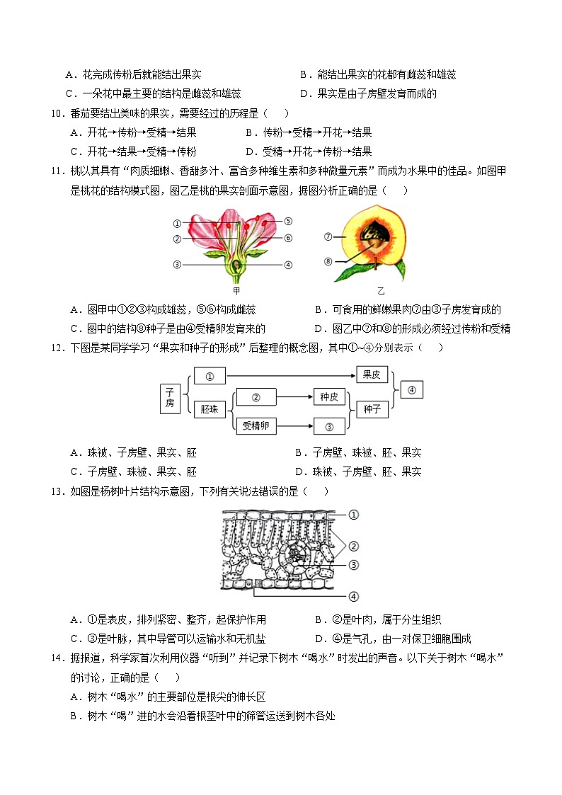 2024-2025学年下学期七年级期末考试生物试题【人教版2024下册全部内容】（考试版）（河北）第3页