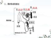 初中生物人教版（2024）七年級(jí)下冊(cè)4.5 人體內(nèi)廢物的排出 課件