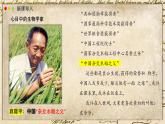 北師大版生物（2024）七年級上冊 1.1.2 生物學(xué)是探索生命的科學(xué) 課件
