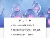 北師大版生物（2024）七年級上冊 2.3.1 細胞通過分裂而增殖  課件
