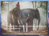 北師大版生物（2024）七年級上冊 2.3.1 細胞通過分裂而增殖  課件