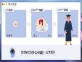 北師大版生物（2024）七年級上冊 2.3.1 細胞通過分裂而增殖  課件