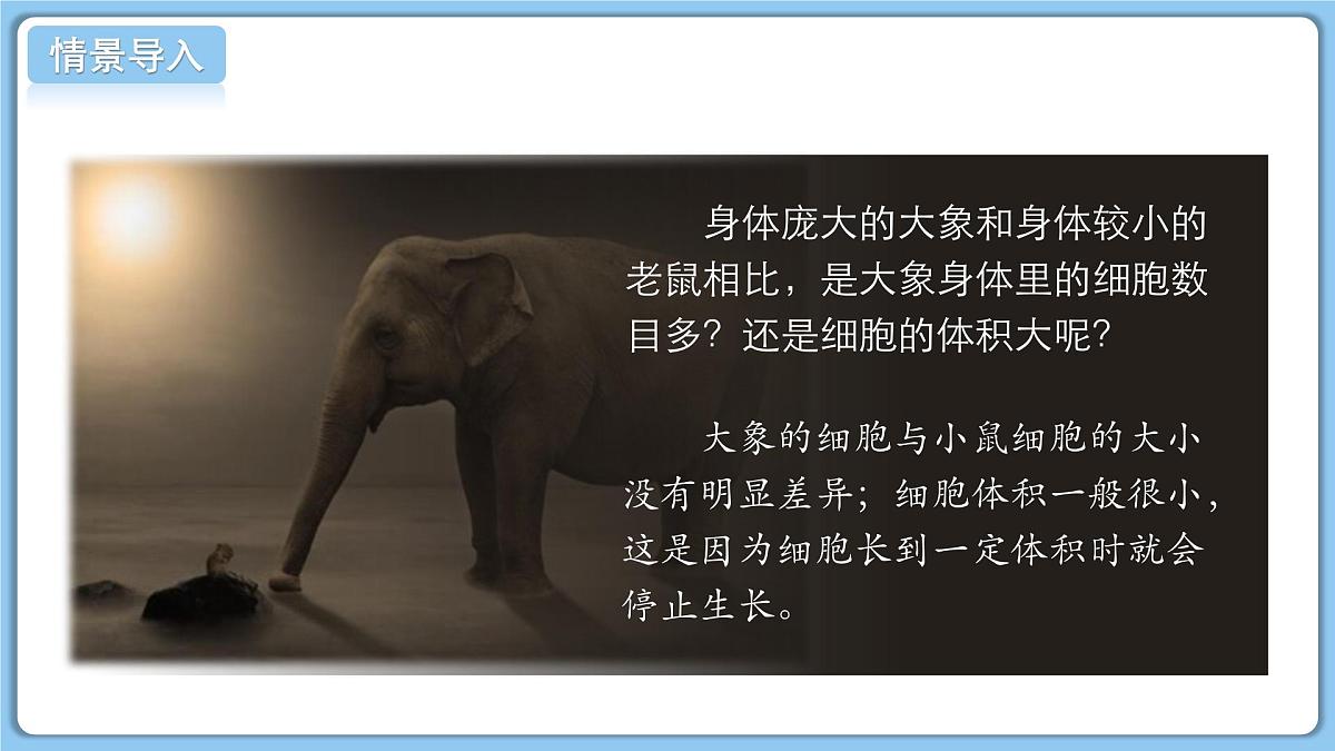 北师大版生物（2024）七年级上册 2.3.1 细胞通过分裂而增殖 课件第3页