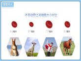 北師大版生物（2024）七年級上冊 2.3.1 細胞通過分裂而增殖 課件
