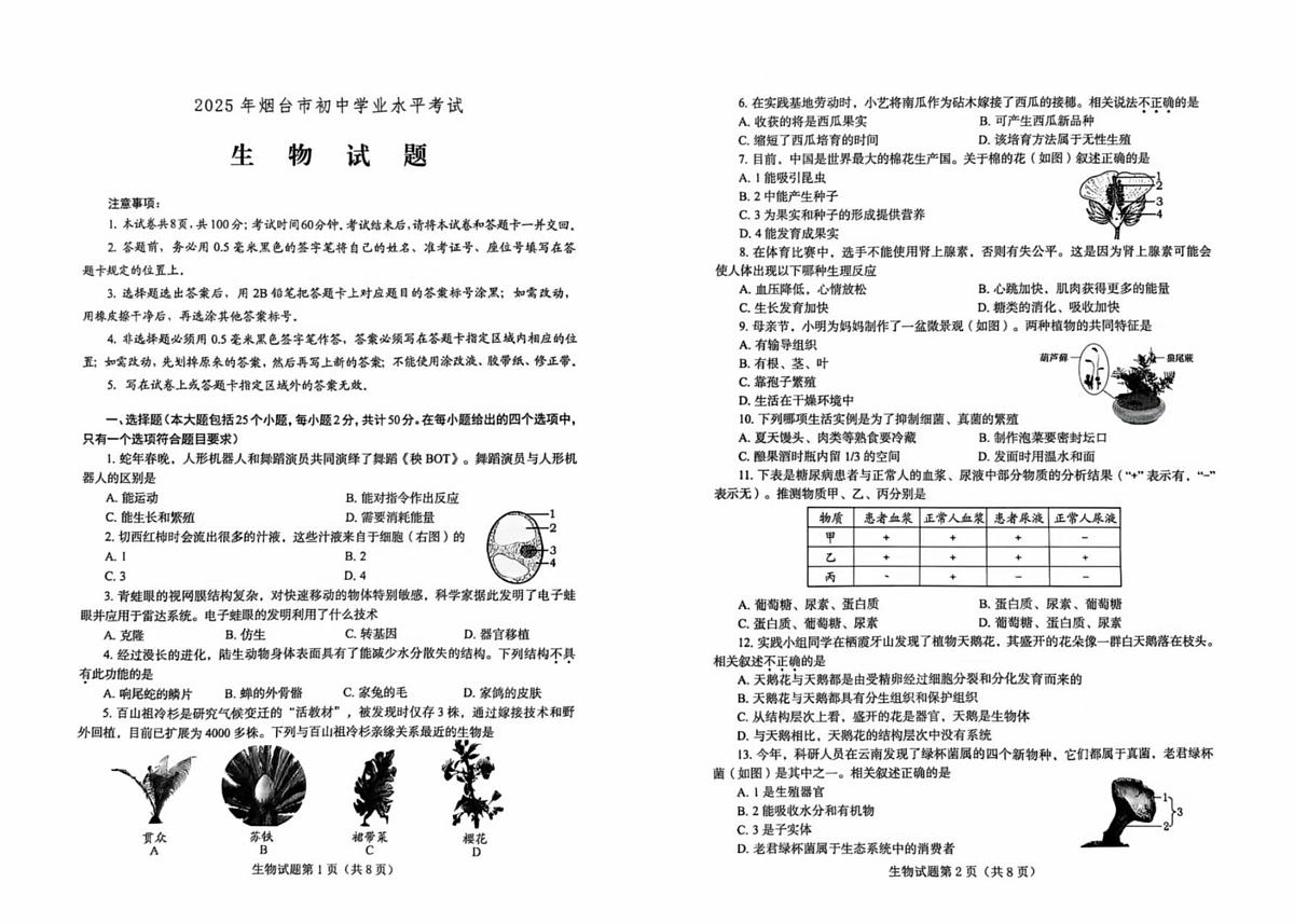 2025年山东省烟台市中考生物真题无答案第1页