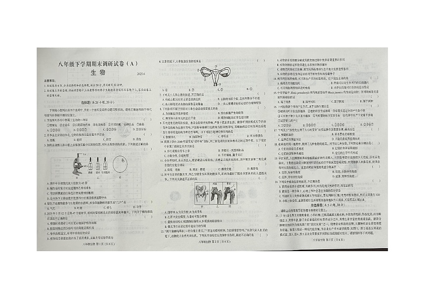 河南省安阳市滑县部分学校2024-2025学年八年级下学期6月期末调研 生物试题第1页
