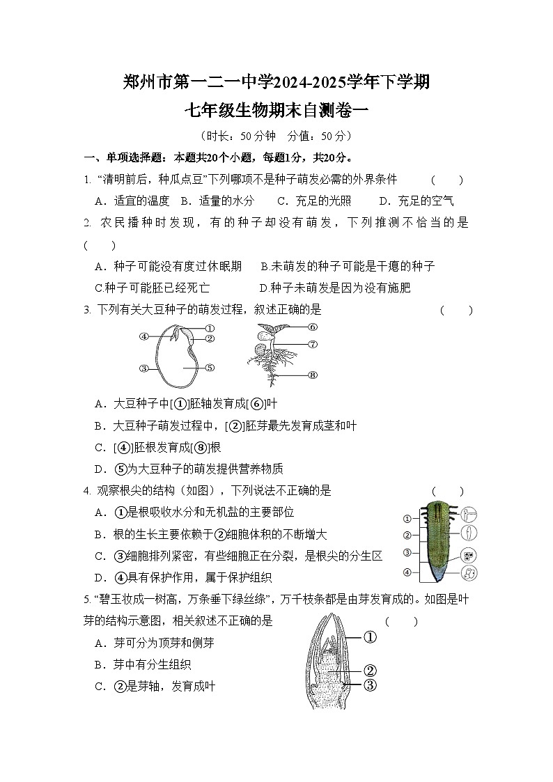 河南省郑州市第一二一中学2024--2025学年下学期七年级 生物期末自测卷一第1页