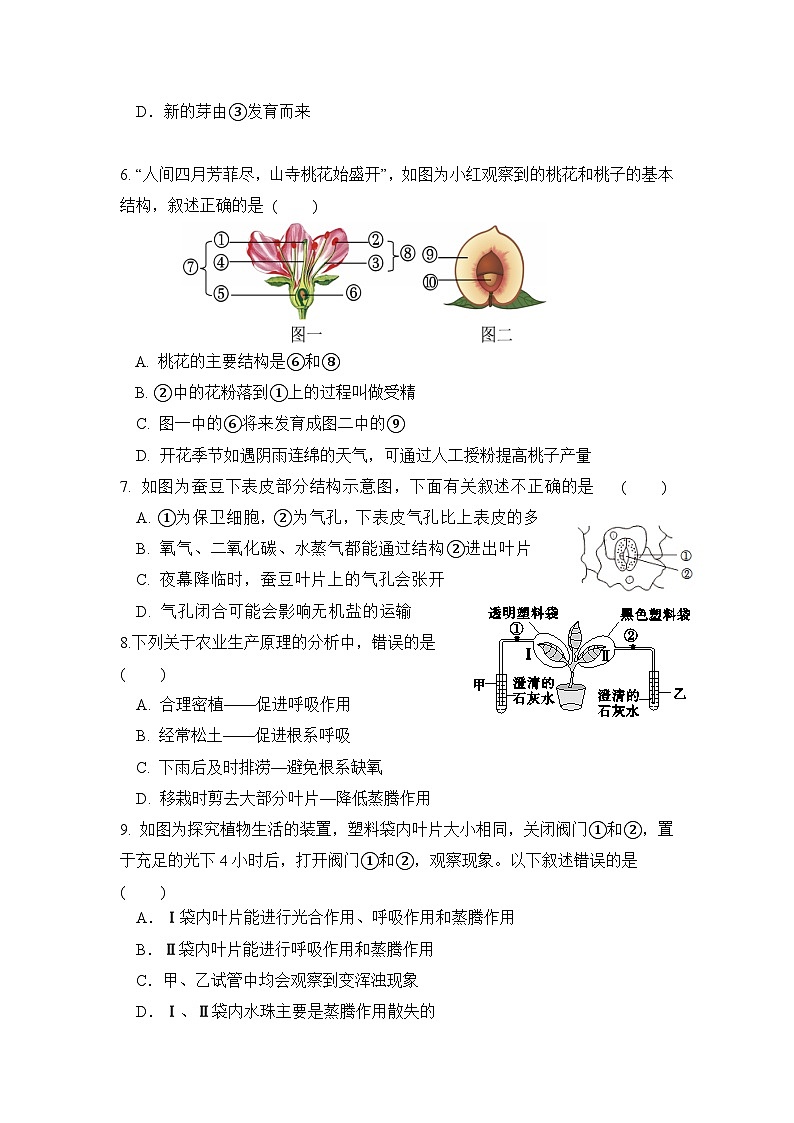 河南省郑州市第一二一中学2024--2025学年下学期七年级 生物期末自测卷一第2页