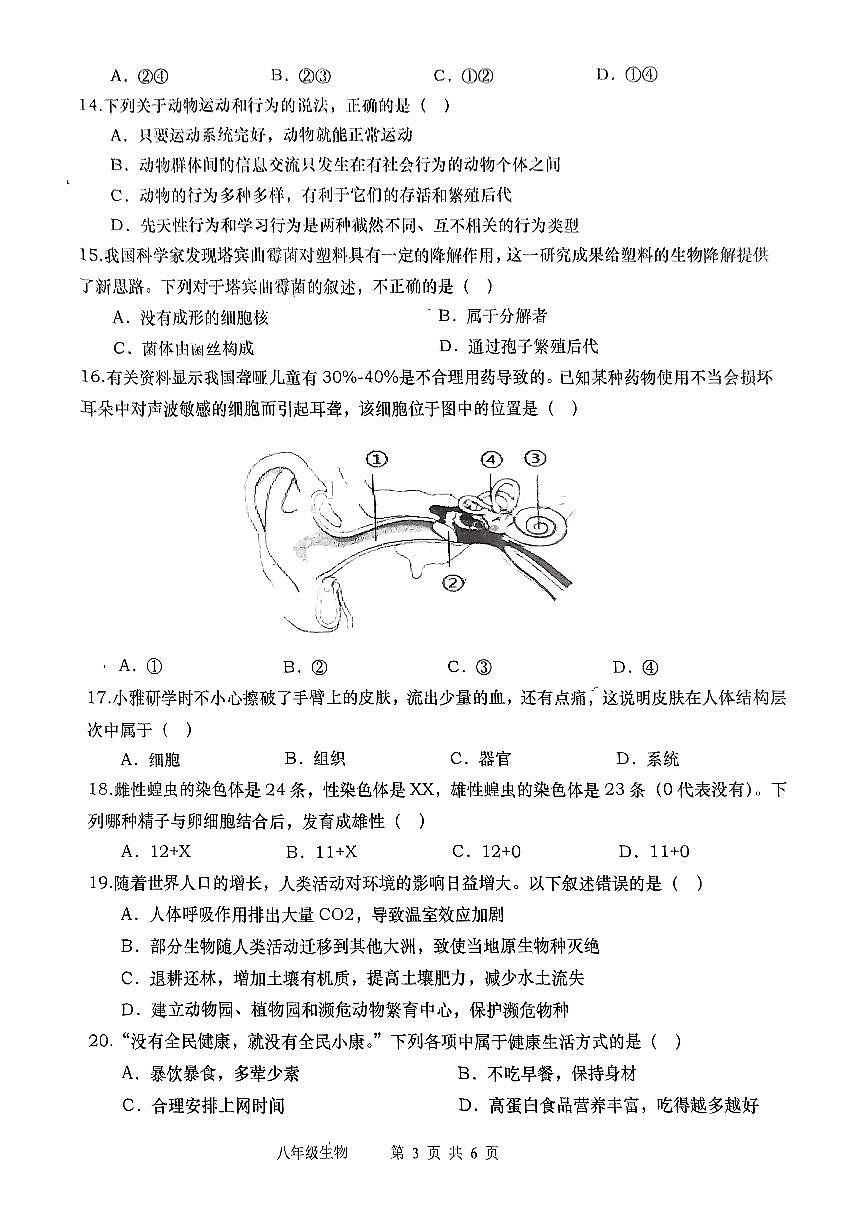 河南省南阳市镇平县2024-2025学年八年级下学期5月份月考 生物试题（含解析）第3页
