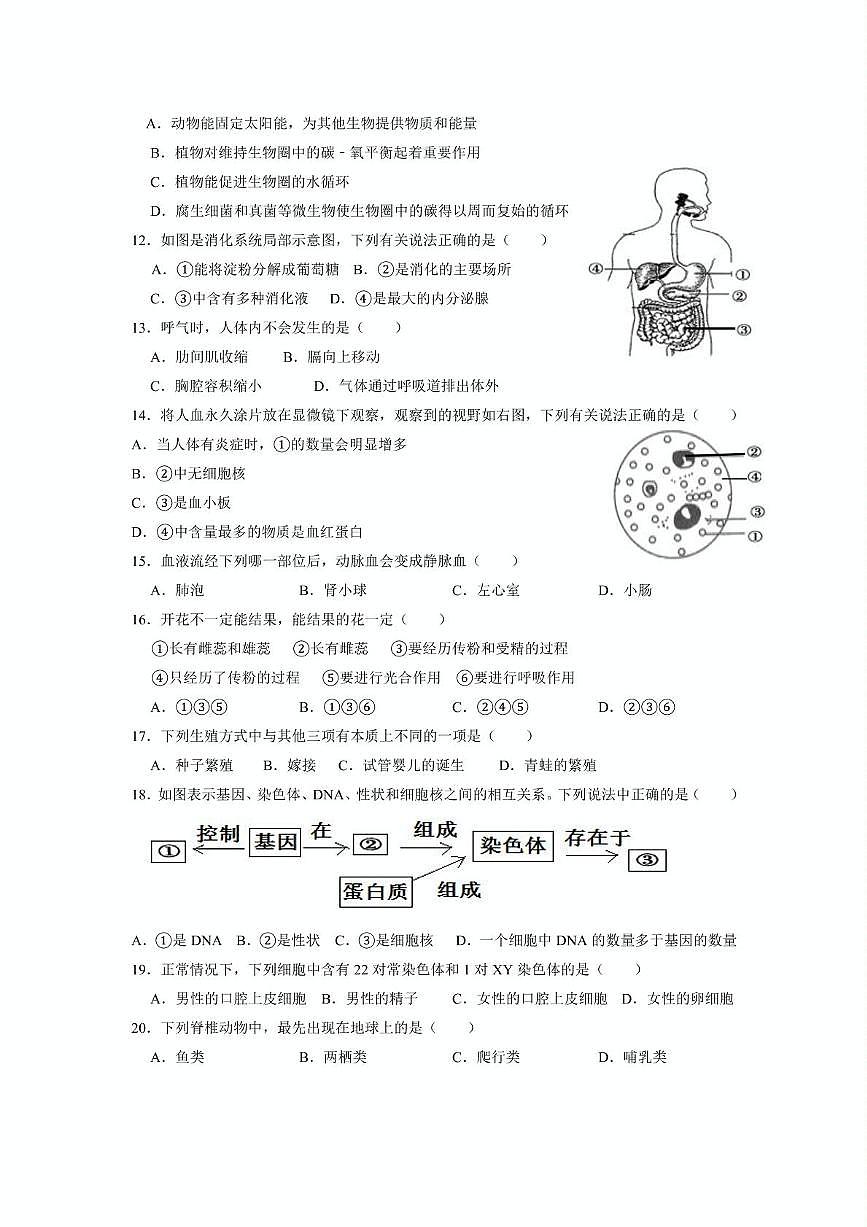 四川省广安友实学校2024-2025学年八年级下学期5月月考 生物试题（含解析）第2页