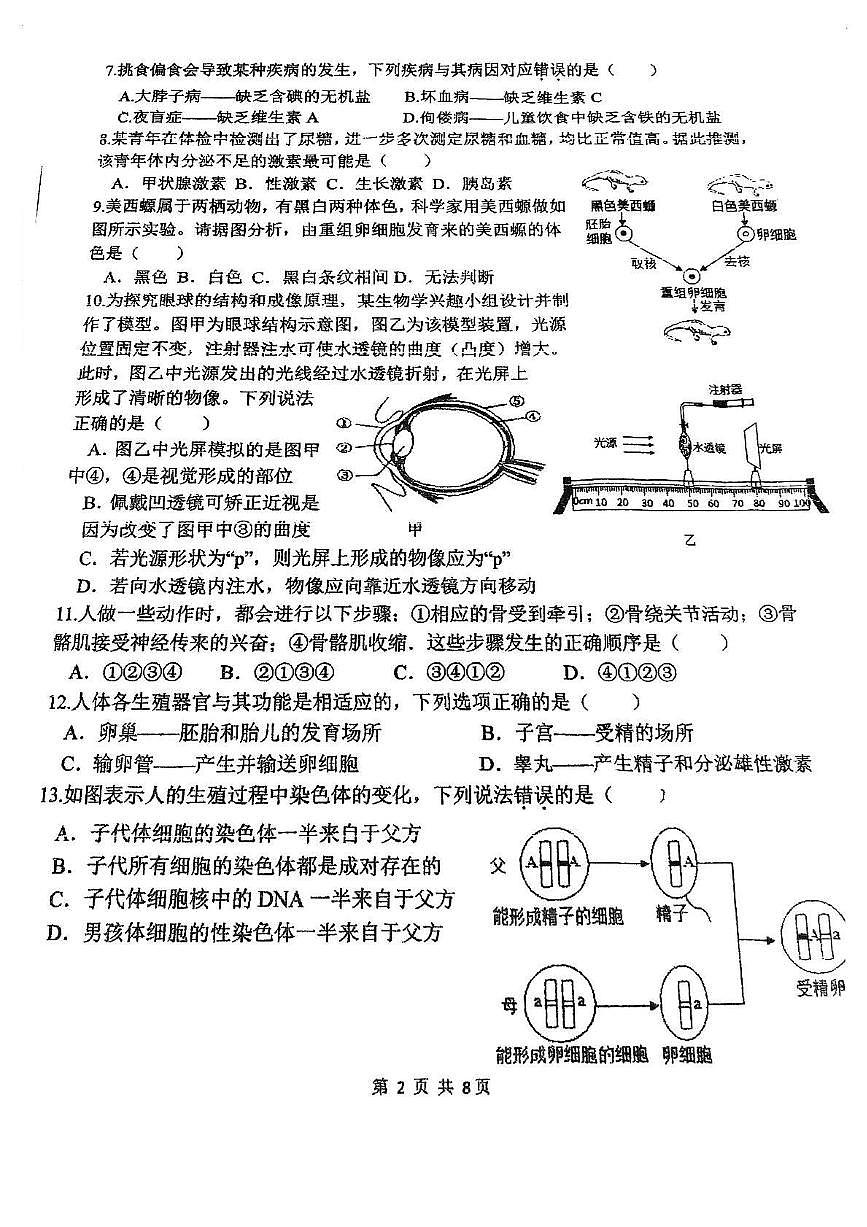福建省福州市福建师范大学附属中学2024-2025年八年级中考第三次模拟生物试题第2页