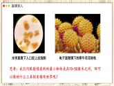 蘇教版生物（2024）七年級(jí)上冊(cè) 1.1.1 走進(jìn)生物學(xué)實(shí)驗(yàn)室  第1課時(shí) 課件