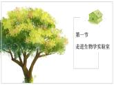 蘇教版生物（2024）七年級(jí)上冊(cè) 1.1.1走進(jìn)生物學(xué)實(shí)驗(yàn)室 課件