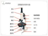 蘇教版生物（2024）七年級(jí)上冊(cè) 1.1.1走進(jìn)生物學(xué)實(shí)驗(yàn)室 課件