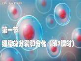 蘇教版生物（2024）七年級(jí)上冊(cè) 1.2.1 細(xì)胞的分裂和分化  第2課時(shí)  課件