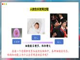 蘇教版生物（2024）七年級(jí)上冊(cè) 1.2.1 細(xì)胞的分裂和分化  第2課時(shí)  課件