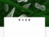 蘇教版生物（2024）七年級(jí)上冊 1.2.2  單細(xì)胞生物-同步課件