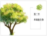 蘇教版生物（2024）七年級(jí)上冊 1.2.2單細(xì)胞生物 課件