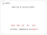 蘇教版生物（2024）七年級(jí)上冊 1.2.2單細(xì)胞生物 課件