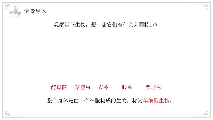 苏教版生物（2024）七年级上册 1.2.2单细胞生物 课件第3页