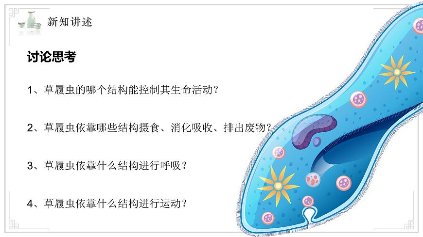 苏教版生物（2024）七年级上册 1.2.2单细胞生物 课件第8页