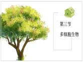 蘇教版生物（2024）七年級(jí)上冊(cè) 1.2.3 多細(xì)胞生物 課件