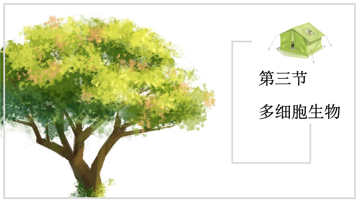 苏教版生物（2024）七年级上册 1.2.3 多细胞生物 课件第1页