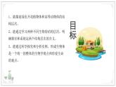 蘇教版生物（2024）七年級(jí)上冊(cè) 1.2.3 多細(xì)胞生物 課件