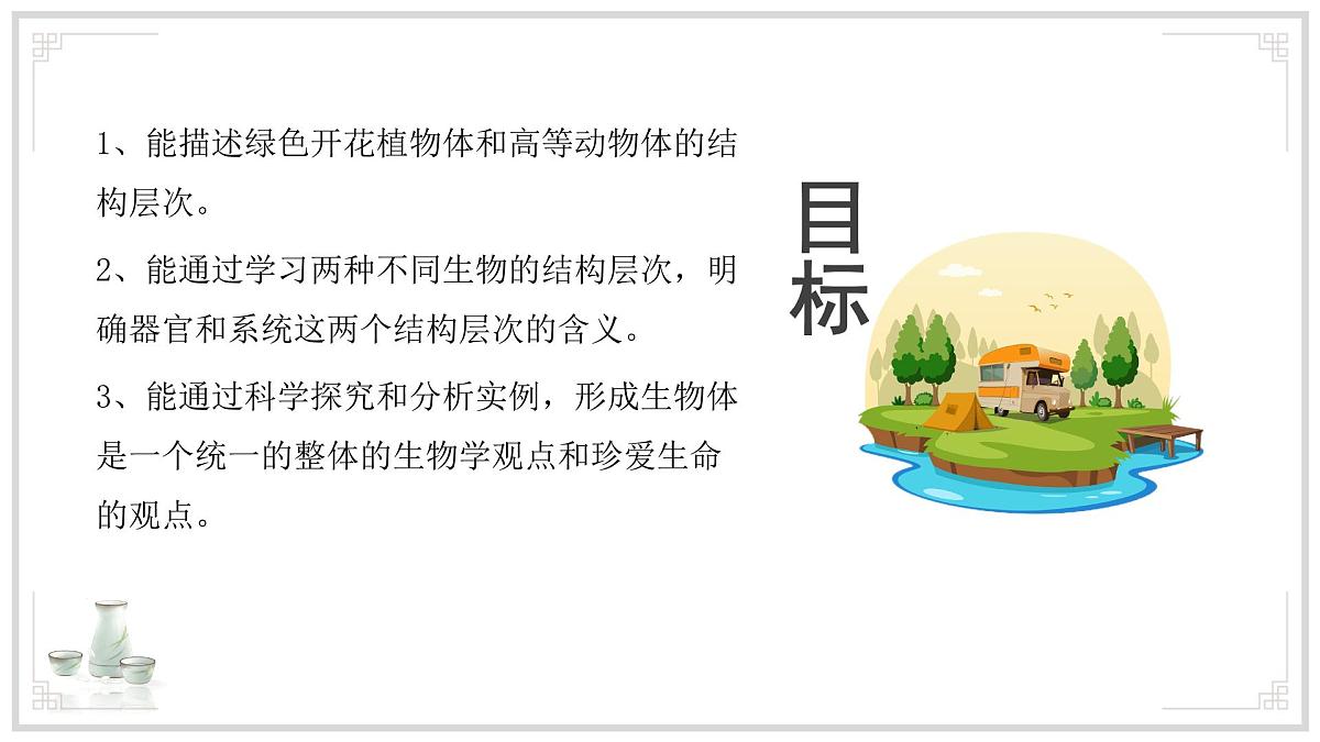 苏教版生物（2024）七年级上册 1.2.3 多细胞生物 课件第3页