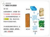 蘇教版生物（2024）七年級(jí)上冊(cè) 1.2.3 多細(xì)胞生物 課件
