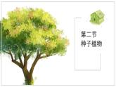 蘇教版生物（2024）七年級上冊 2.3.2 種子植物 課件 (2)